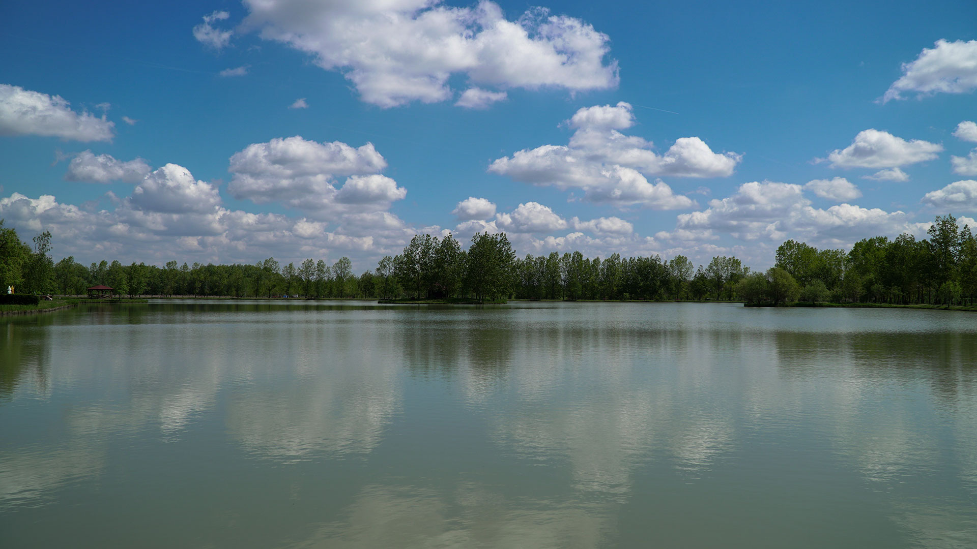 Ételeinkben a magyaros ízek,